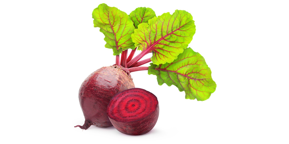 Rote Bete, Rote Rübe (gekocht) Kalorien & Nährwerte FoodPal Rote Bete, Rote Rübe (gekocht) Kalorien & Nährwerte FoodPal