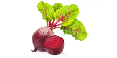 Burak, burak czerwony (świeży)