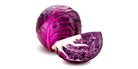 Rotkohl, Blaukraut (frisch)