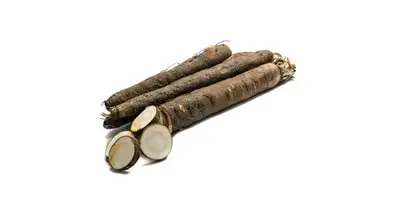 Salsifica preto (fresco)