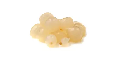 Cebula srebrna (świeża)