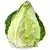Pointed cabbage, pointed cabbage, filder cabbage (fresh)