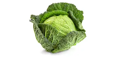Couve-lombarda (fresca)