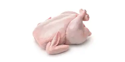 Faisán Carne de faisán (fresca)