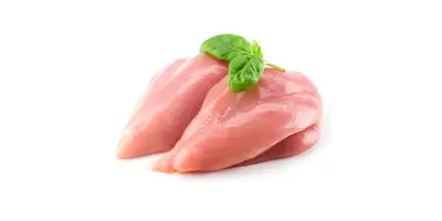 Przepiórka, mięso przepiórcze (surowe)