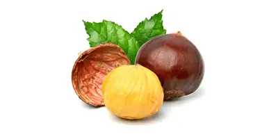 Water chestnuts (canned)