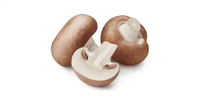 Mushrooms, mushrooms (canned)