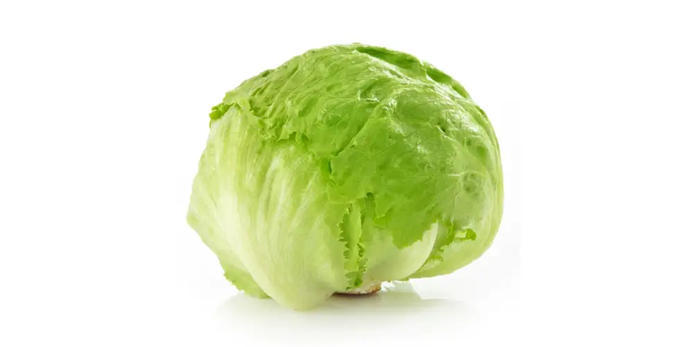 Hojas de lechuga (frescas) - Calorías y valores nutricionales | FoodPal