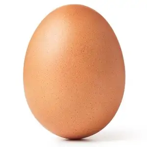 Huevo, huevo de gallina (ecológico, de granja)