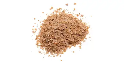 Wheat germ, wheat seedlings