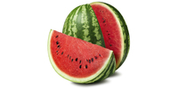 Wassermelone (frisch)