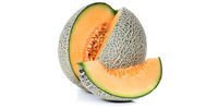 Cantaloupe Melone (frisch)