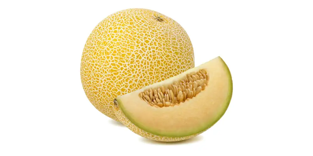 Meloni Galia, meloni netti (freschi) Calorie e valori nutrizionali