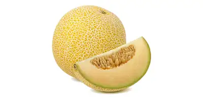 Melones Galia, melones netos (frescos)
