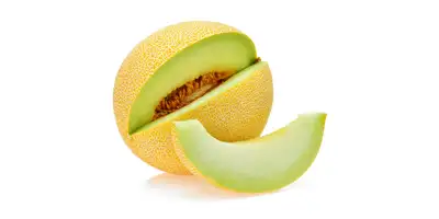 Melón de azúcar (fresco)