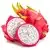 Dragon fruit (fresh)