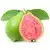 Guava (fresh)