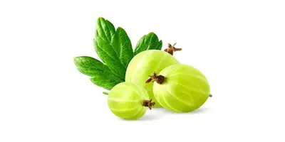 Groseilles à maquereau (en conserve)