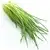 Chives (fresh)