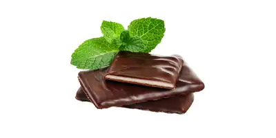 Chocolate de hortelã-pimenta (barras)