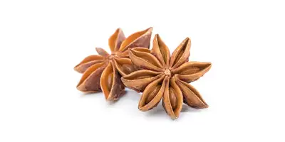 Anise seed