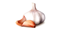 Knoblauch Pulver