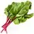 Chard, cabbage stalk (fresh)