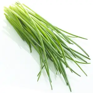 Cebollino (congelado)