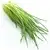 Chives (frozen)