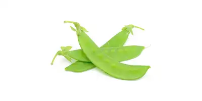 Pois mange-tout, pois mange-tout (frais)