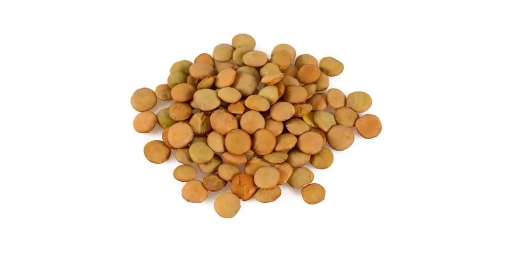Lentilles (crues) Calories & valeurs nutritives FoodPal