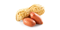 Erdnüsse (geröstet)