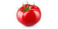 Tomatenstücke, gestückelte Tomaten (Konserve)