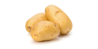 Kartoffeln (festkochend, frisch)