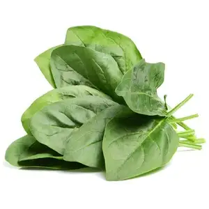 Espinacas, espinacas de hoja (frescas)