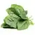 Spinach, leaf spinach (fresh)