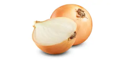 Vegetable onion (fresh)