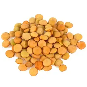 Lentilles (jaunes, crues)