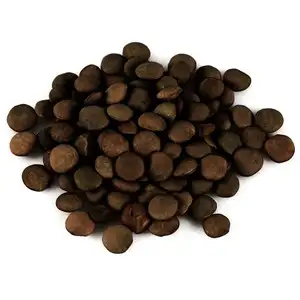 Lentilles Beluga (crues)