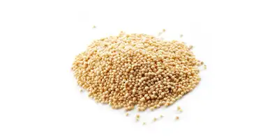 Millet