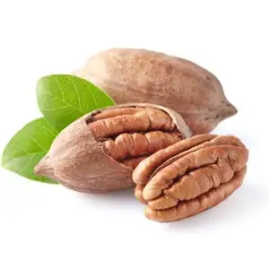 Nueces de pecán, pacanas