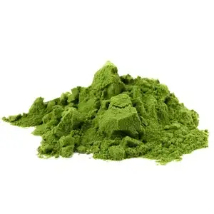Matcha in polvere