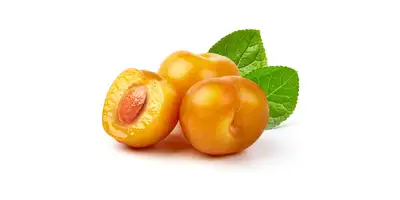 Ciruela (amarilla, fresca)