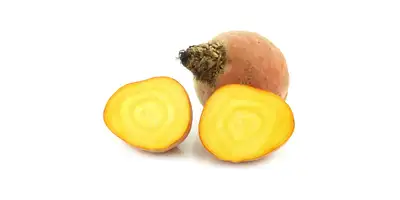 Remolacha amarilla, remolacha amarilla (fresca)