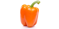 Paprika (orange, frisch, mini-sweet)