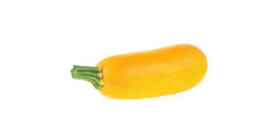 Zucchine (fresche, gialle) - Calorie e valori nutrizionali