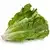 Romaine lettuce