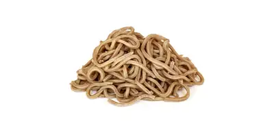 Makaron sojowy, makaron wegański (surowy)