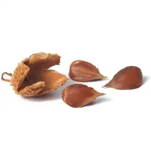 Beechnuts (secos)