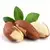 Brazil nut